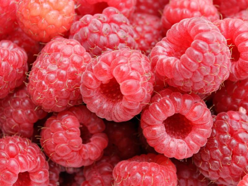 Raspberries