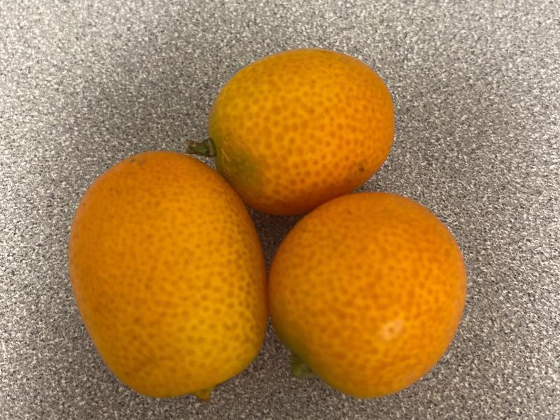 Kumquats