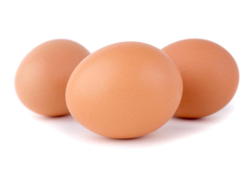 Egg