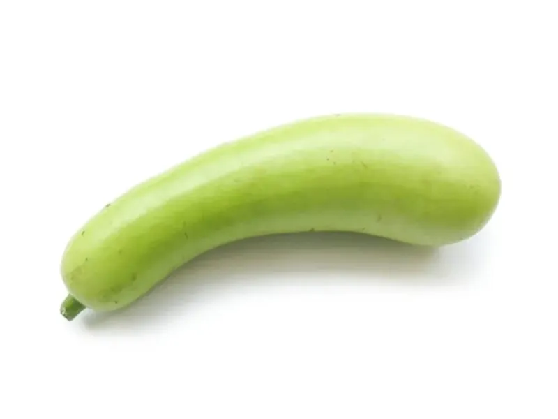 Doodhi