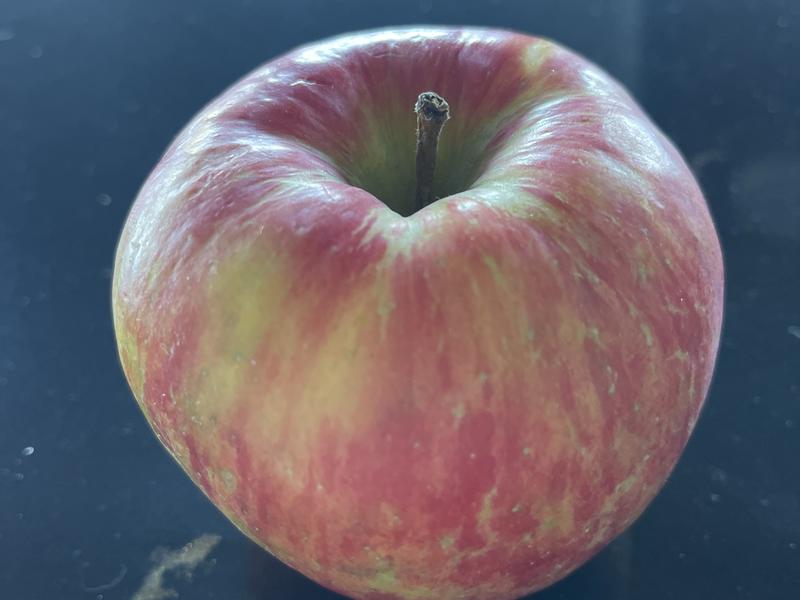 honeycrisp apples