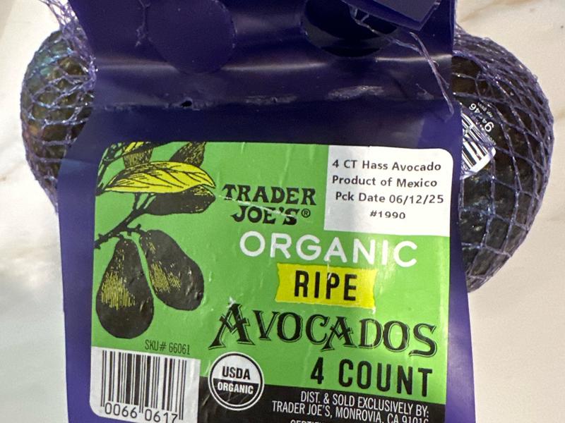 organic hass avocado