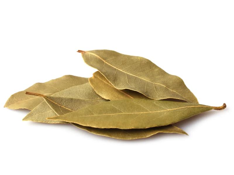 Bay leaf