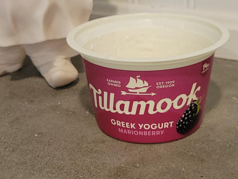 Oregon Marionberry Greek Yogurt