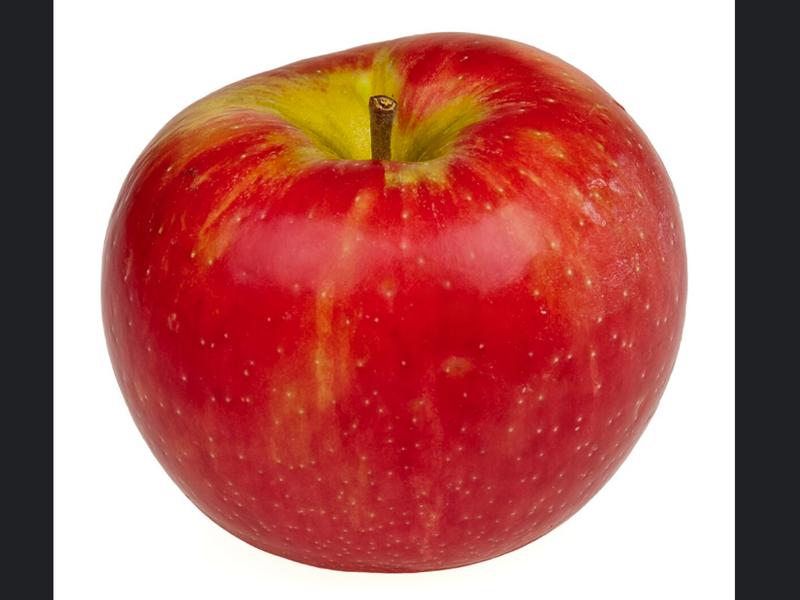 Honeycrisp Apple