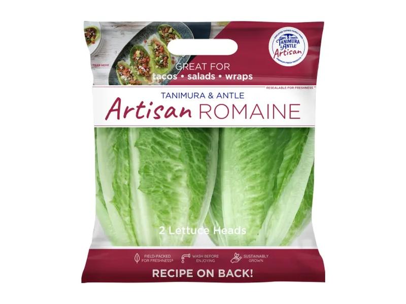 Artisan Romaine