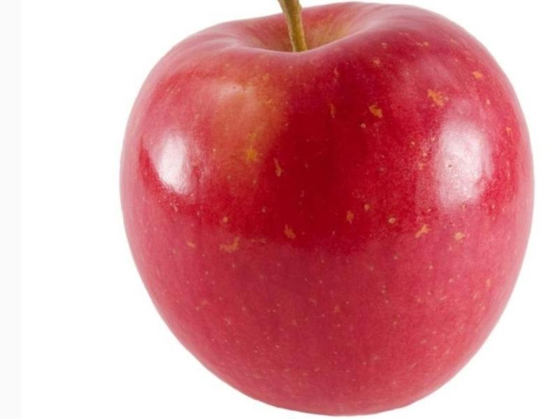Fuji Apples