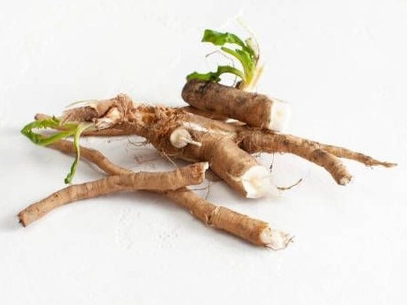 Chicory roots