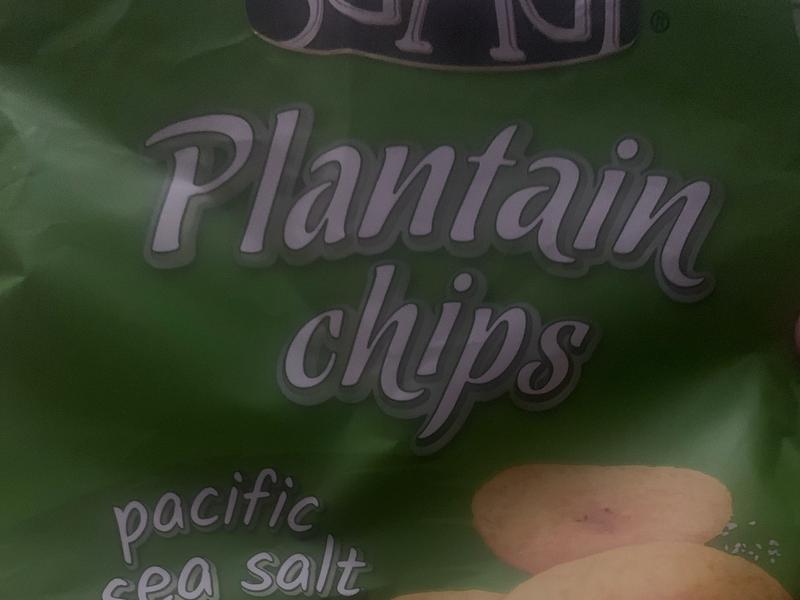 Pacific Sea Salt Plantain Chips