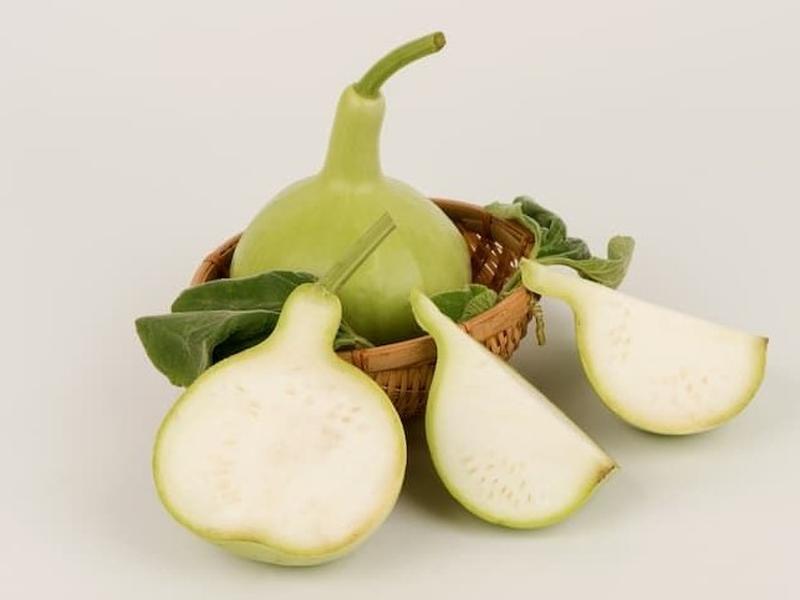 Gourd