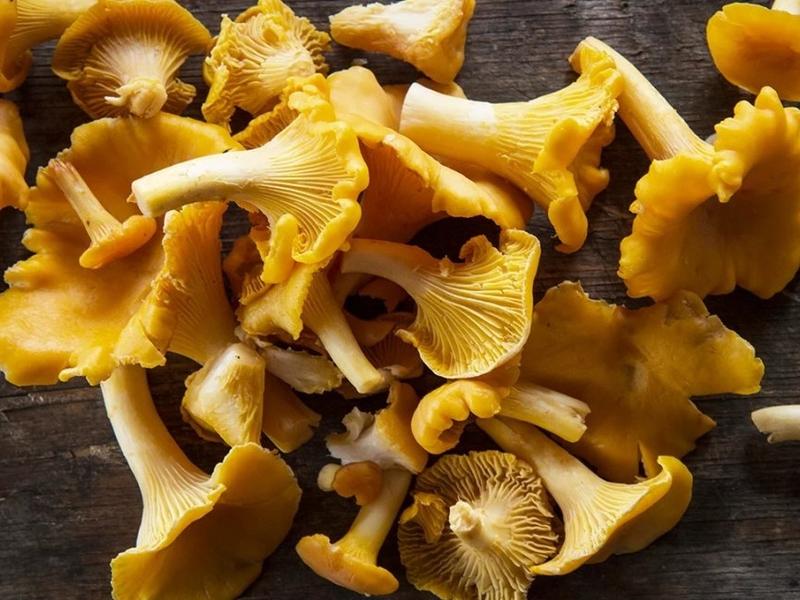 Mushrooms