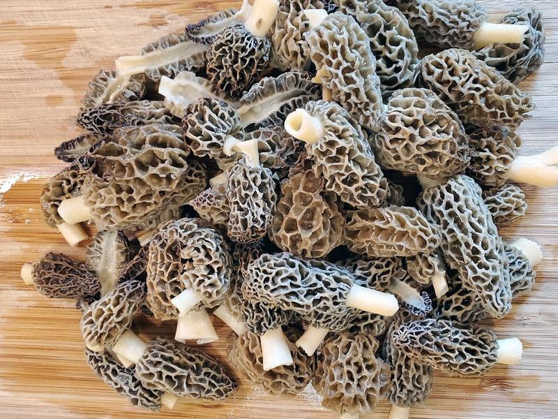 Mushrooms