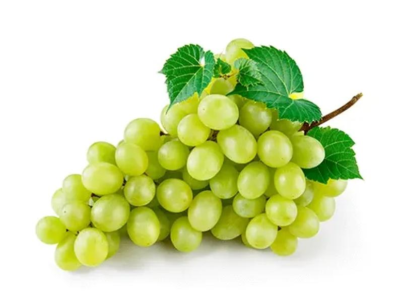 Green Seedless Grapes
