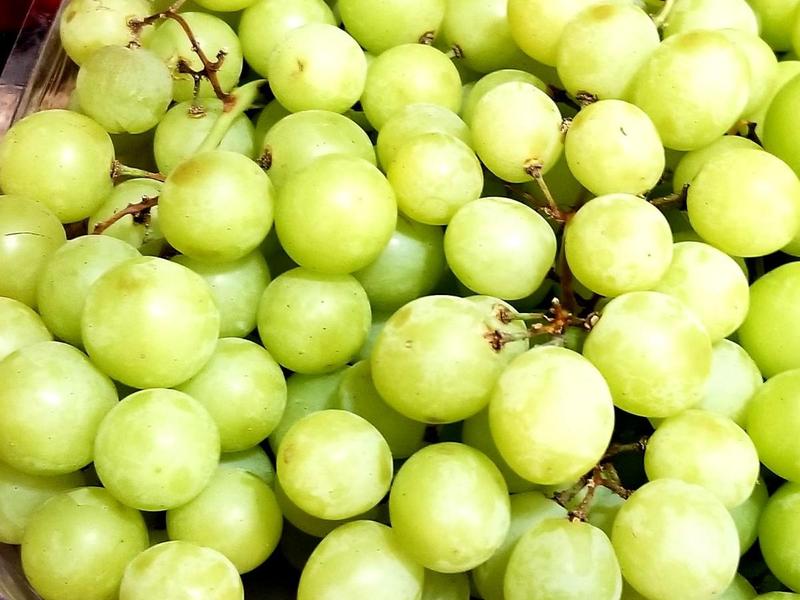 Green Seedless Grapes