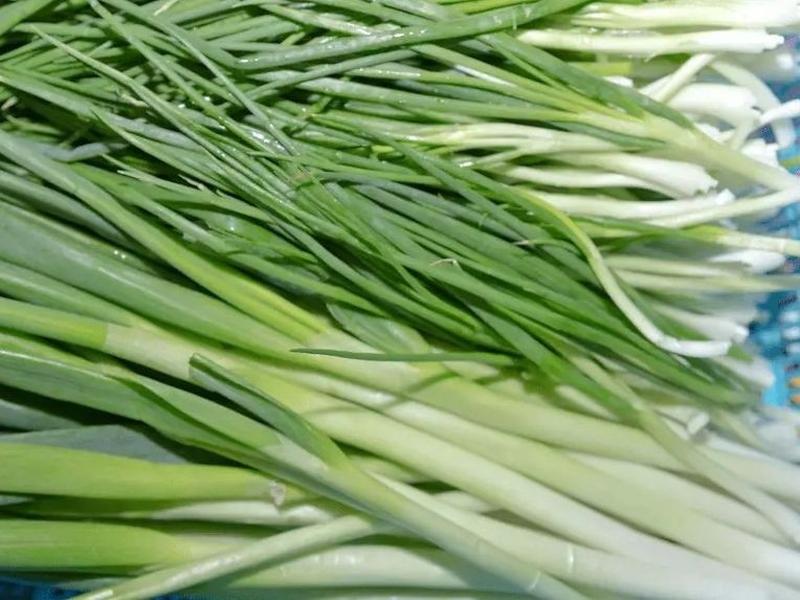 Onions