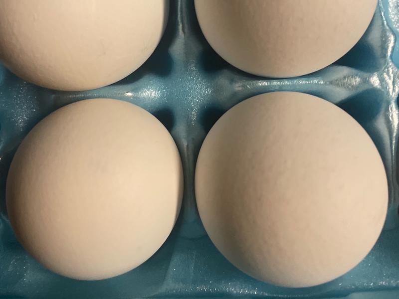 Grade AA Large Eggs
