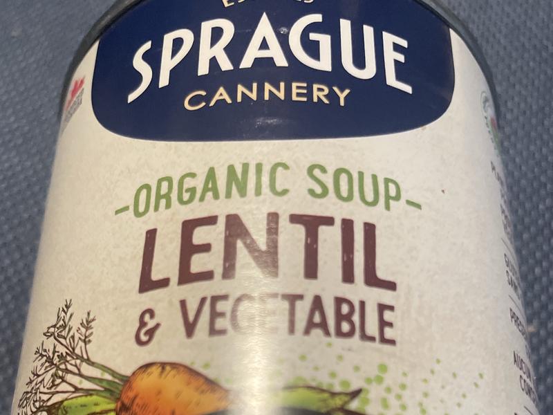 Organic Lentil Soup