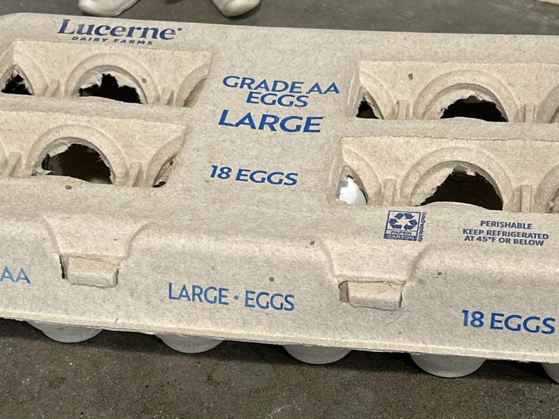 Grade AA Large Eggs