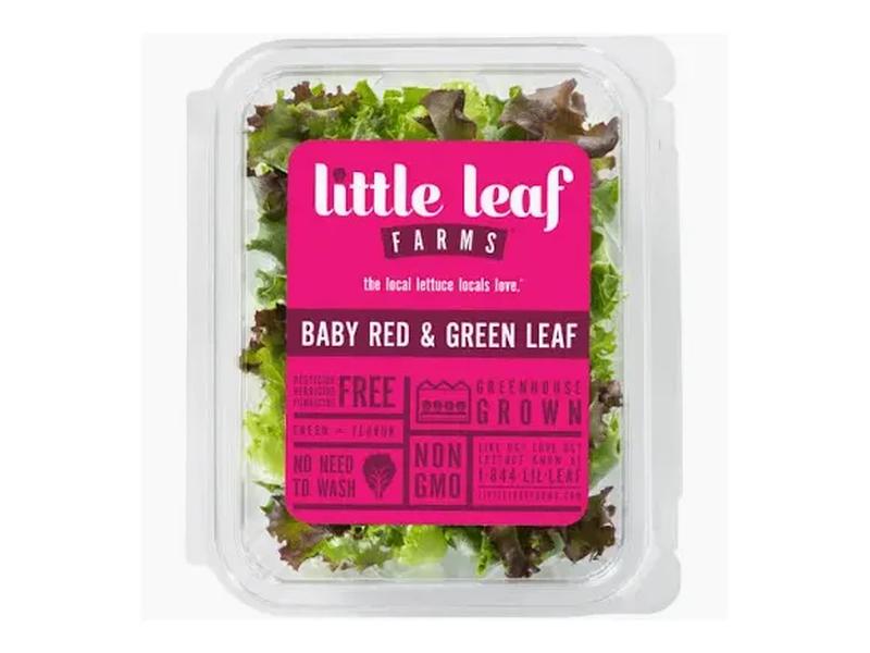 Baby Green Lettuce
