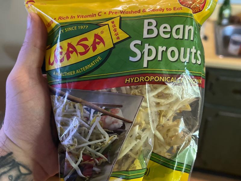 Bean Sprouts