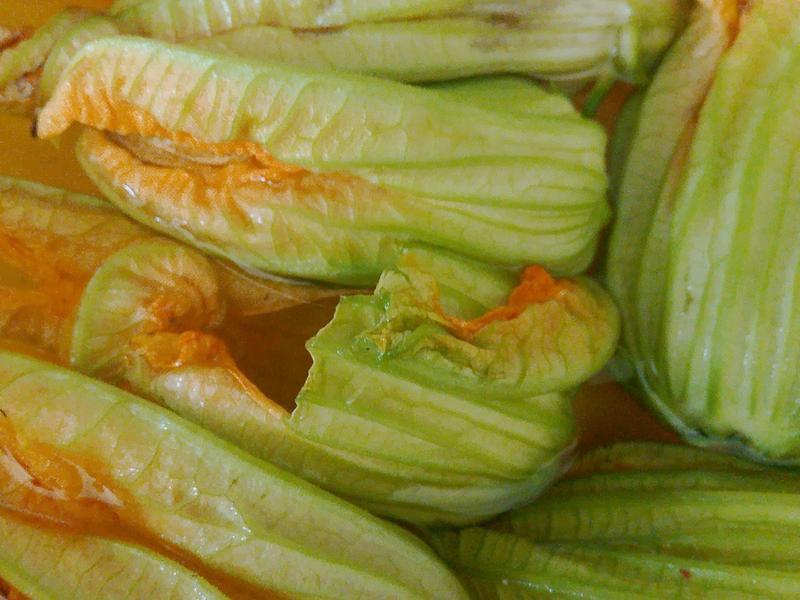 Pumpkin flowers