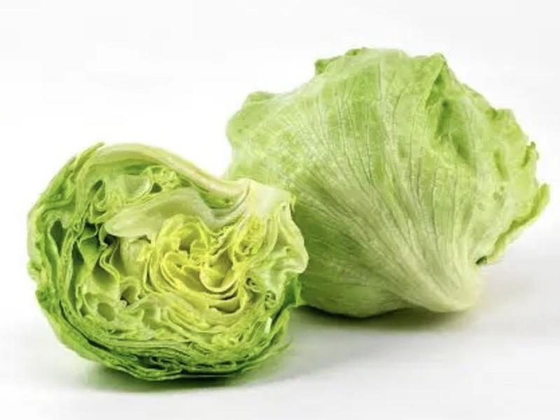 Iceberg Lettuce