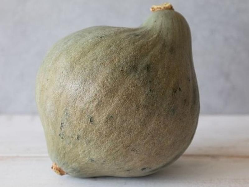 Squash
