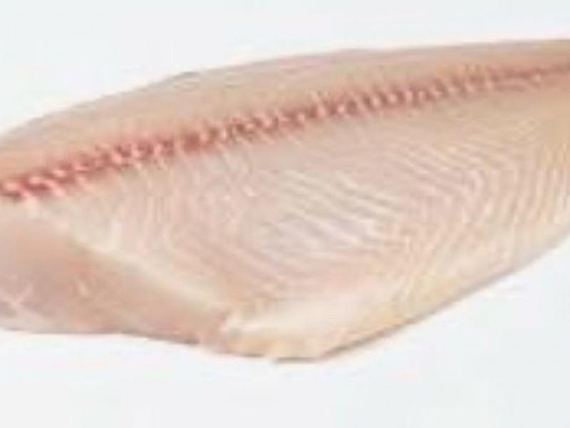 Grouper Fillet