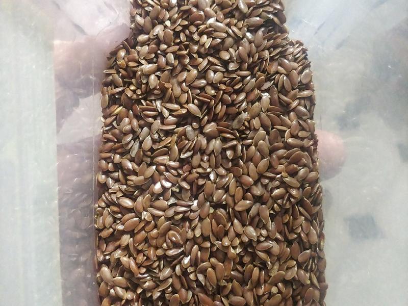 Flax Seed