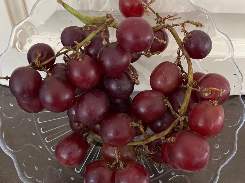 Red Grapes