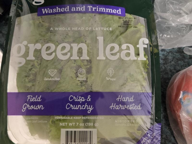 Green Leaf