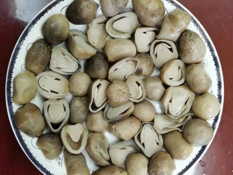 Mushrooms