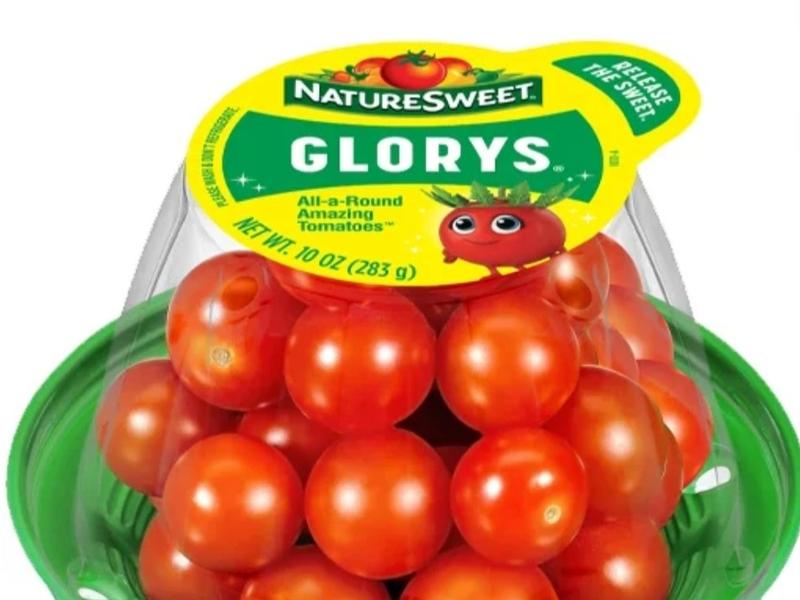 Glorys Tomatoes