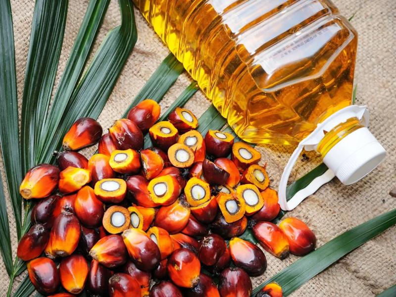 Palm kernel vegetable oil