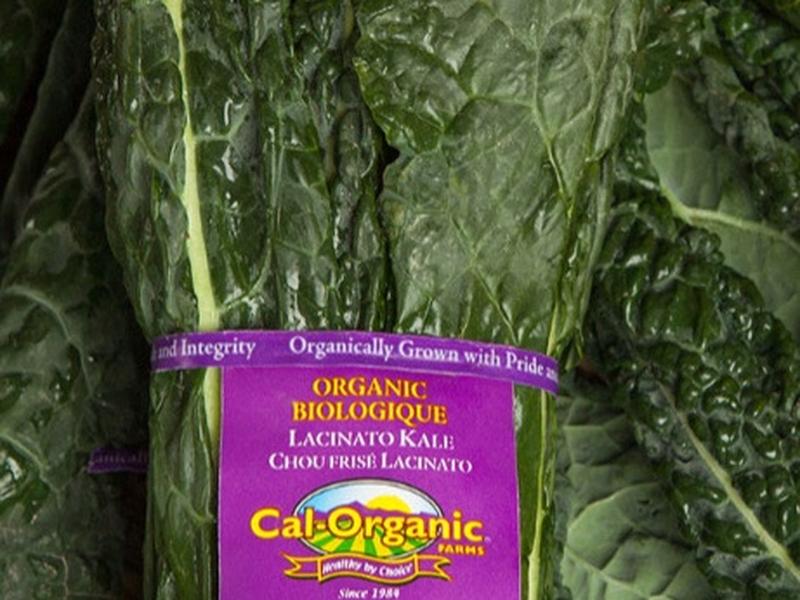 Organic Lacinato Kale