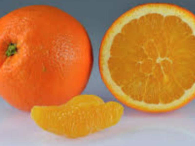 Navel Oranges