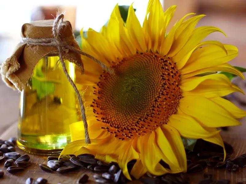 Sunflower oil