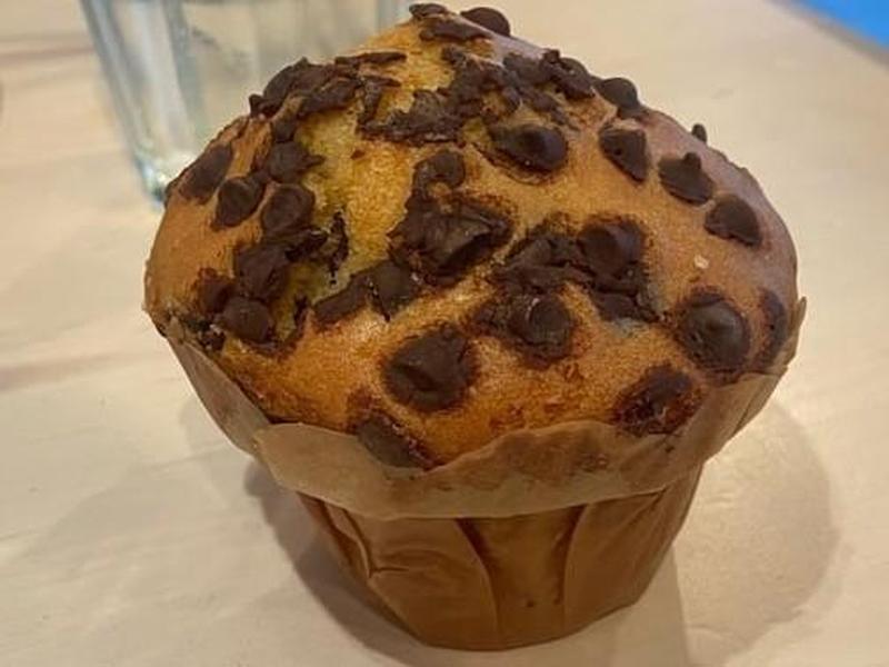 Muffin, Chocolate Chip Muffin