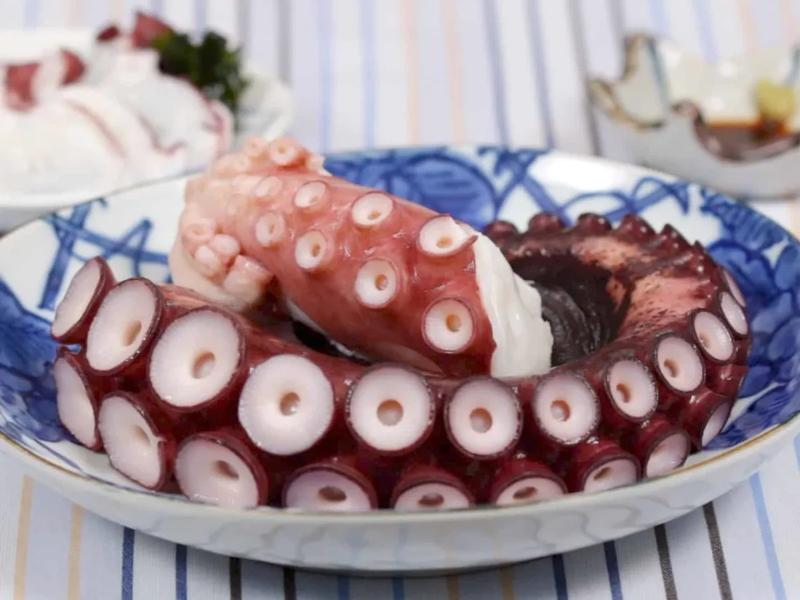 Octopus