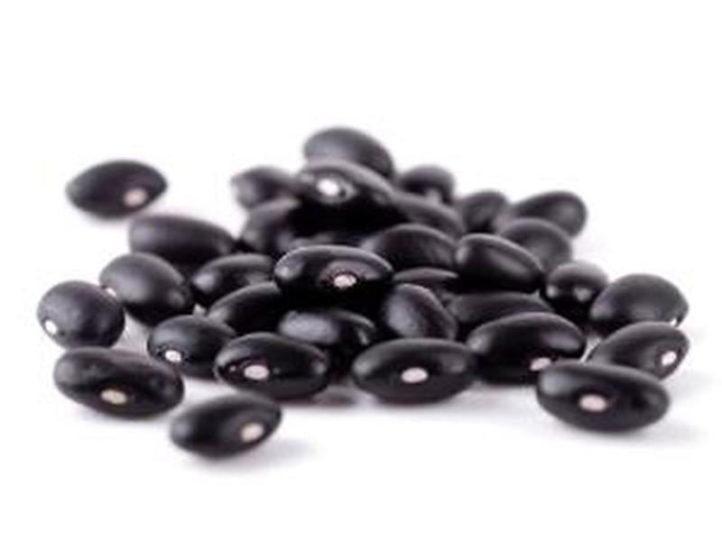Black turtle soup beans