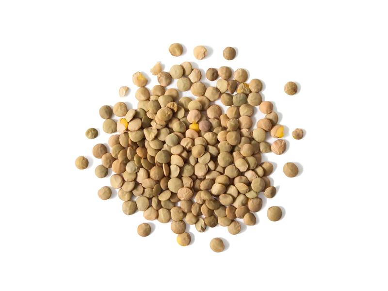 Lentils