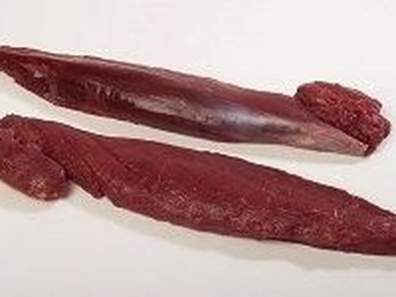 Antelope