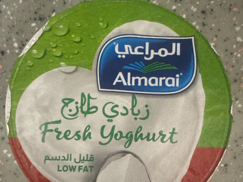 Low Fat Yoghurt