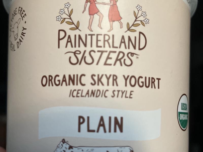 Plain Icelandic Style Organic Skyr Yogurt