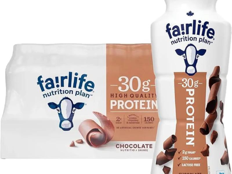 Chocolate Protein Milk