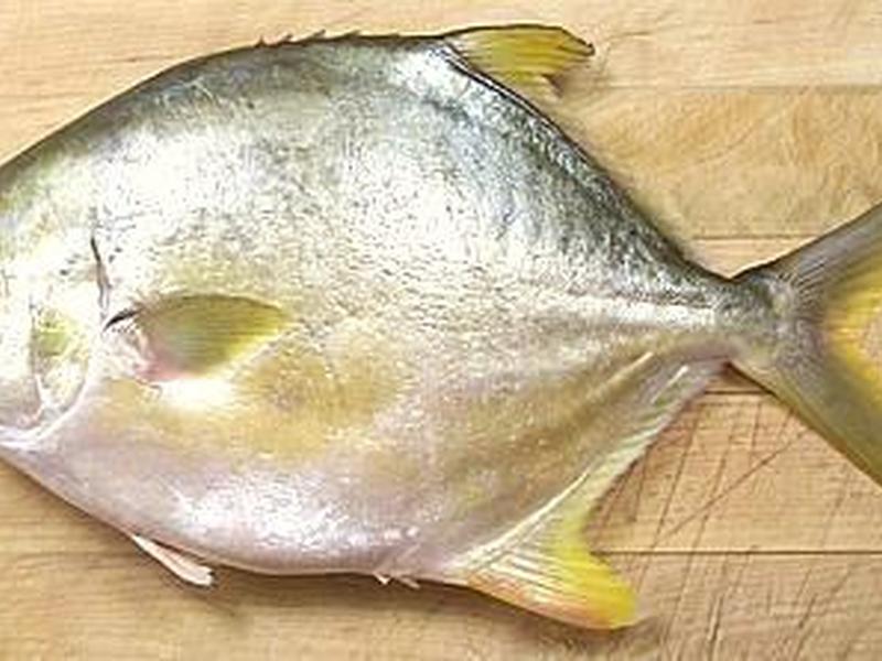 Frozen Pompano Whole Round