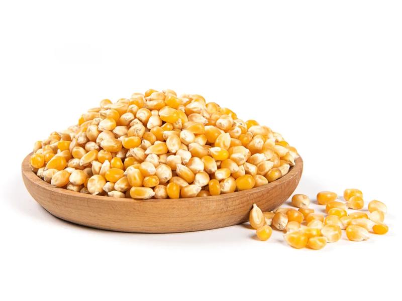 Corn Grain