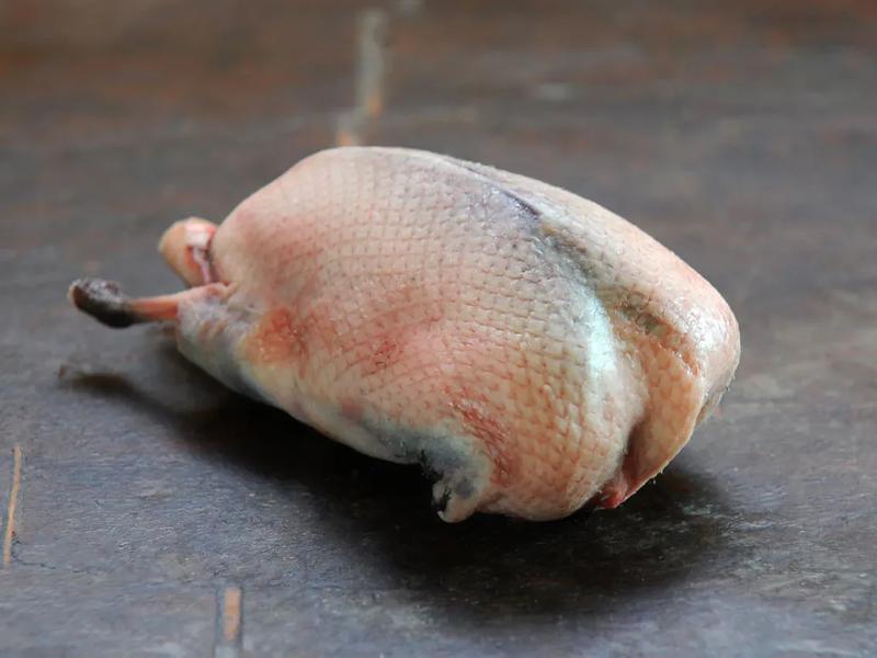 Duck, meat and skin