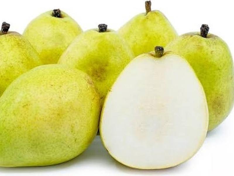 Green Anjou pear