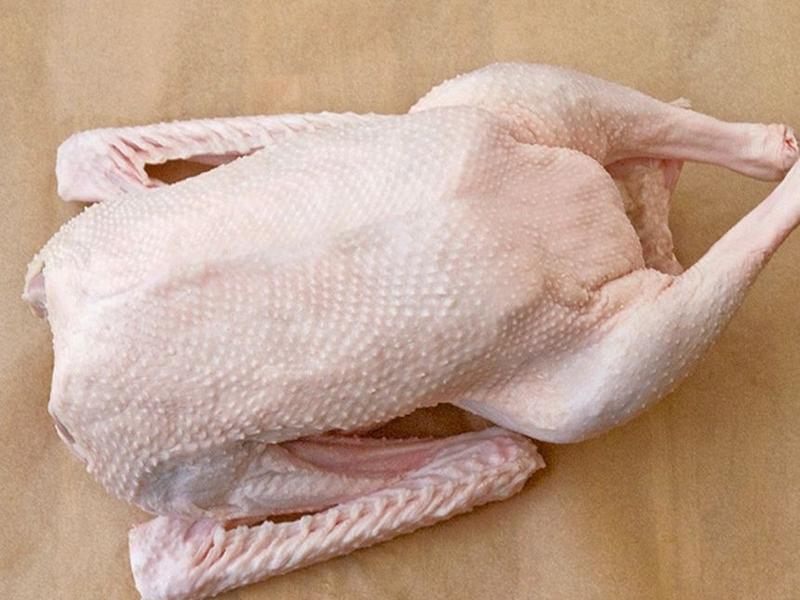 Goose, meat and skin
